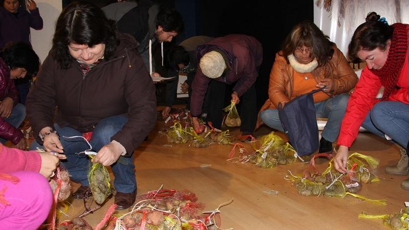 Socias de la Unión Comunal de Mujeres Rurales de Ancud recibiendo las semillas de papas nativas.